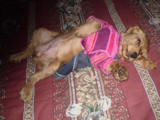 yo duermo panza arriba.